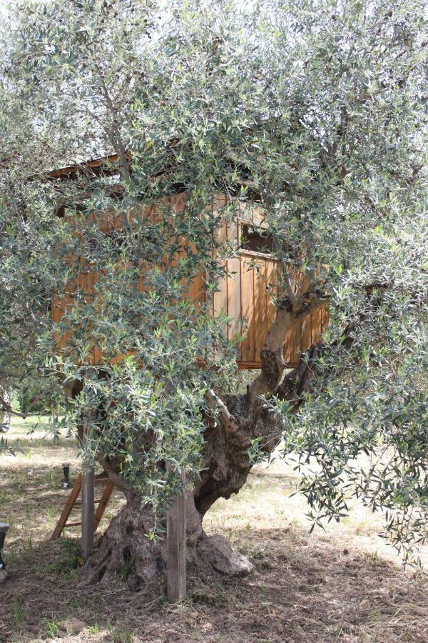 Mercouri Stone Cottage Korakokhórion Extérieur photo